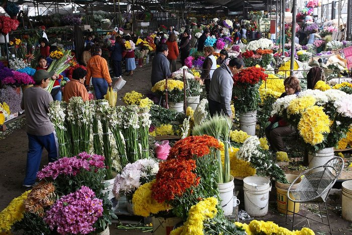 flores en lima